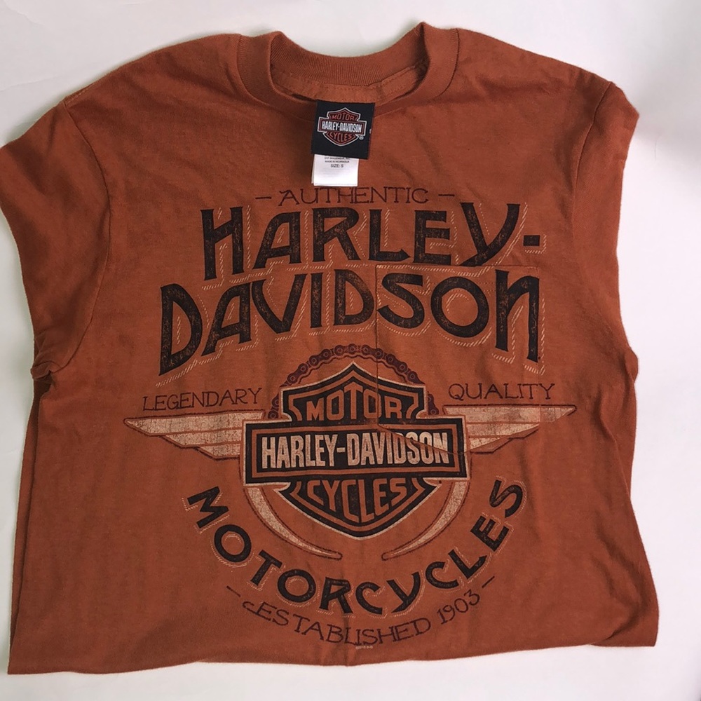 Original Harley Davidson tee NWOT